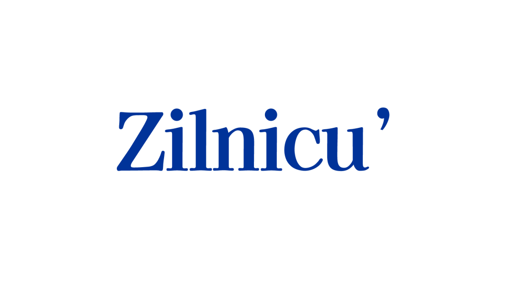 Zilnicu